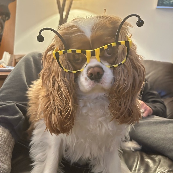 Shipping Label - Picture 1 of 1